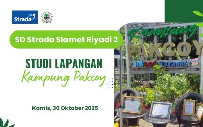 Serunya Belajar Menanam dan Mengolah Sampah di Kampung Pakcoy Bersama SD Strada Slamet Riyadi 2
